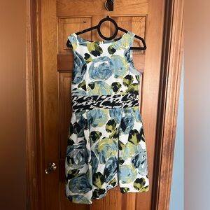 Ann Taylor Fit and Flare Floral Dress